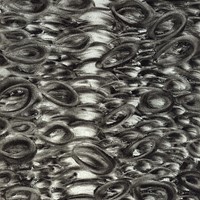 8 pastel noir,sans titre, 2007, 24x18cm